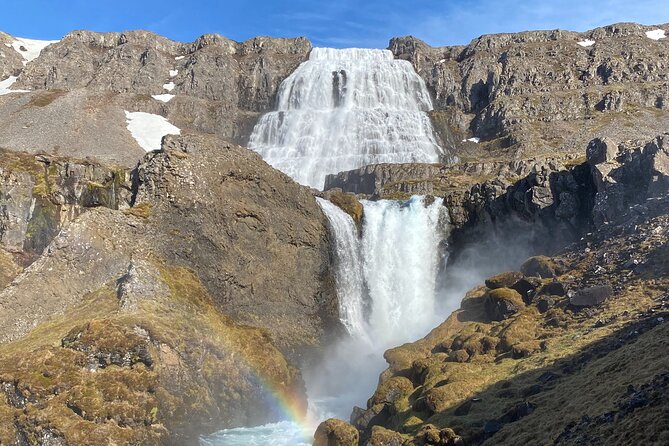 Isafjordur and Westfjords Private Tour - Key highlights that make this Westfjords day work