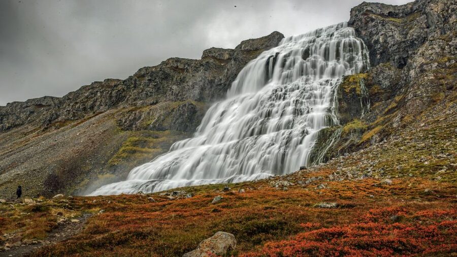 Isafjordur: Dynjandi Waterfall Tour and Icelandic Farm Visit - Key highlights worth your attention