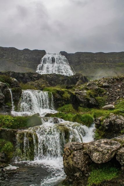 Isafjordur: Dynjandi Waterfall Tour and Icelandic Farm Visit - Should You Book This Dynjandi and Farm Half-Day Tour?