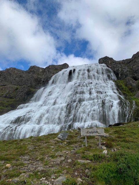 Isafjordur: Dynjandi Waterfall Tour and Icelandic Farm Visit - Price, Comfort, and What You Get for Around $154