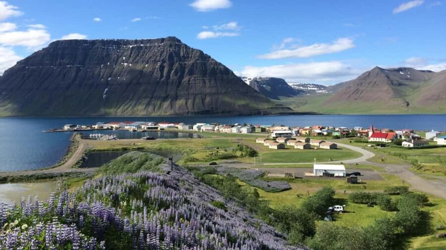 Ísafjörður: Flateyri Village tour: Nature, Culture, History - The Tunnel Ride: How Infrastructure Shapes the Westfjords