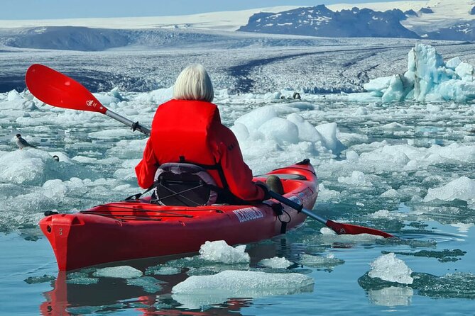 Jokulsarlon Glacier Lagoon Kayaking and Falljokull Glacier Hike - Price and value: is $253.97 per person fair for this day?