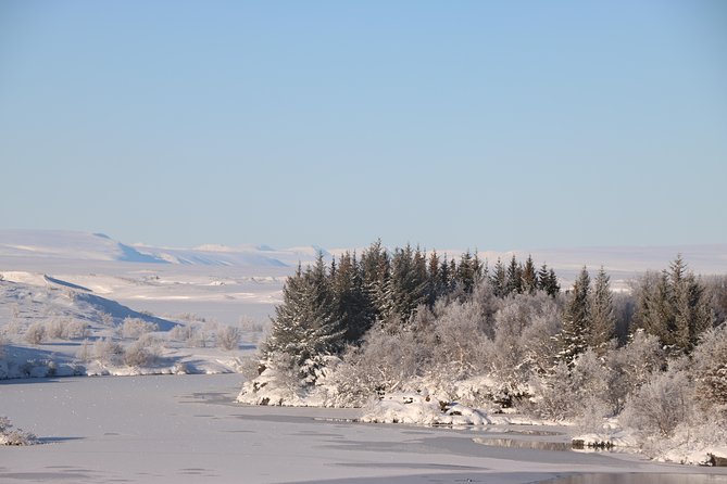 Lake Mývatn and Powerful Dettifoss Day Tour from Akureyri - Meeting at 9:00 am: cruise port versus hotel pickup