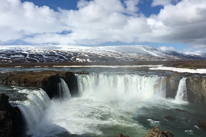 Lake Myvatn, Dettifoss and Goddafoss Waterfalls Day Tour from Akureyri - Dettifoss and Selfoss Conditions: The Day’s Safety Reality Check