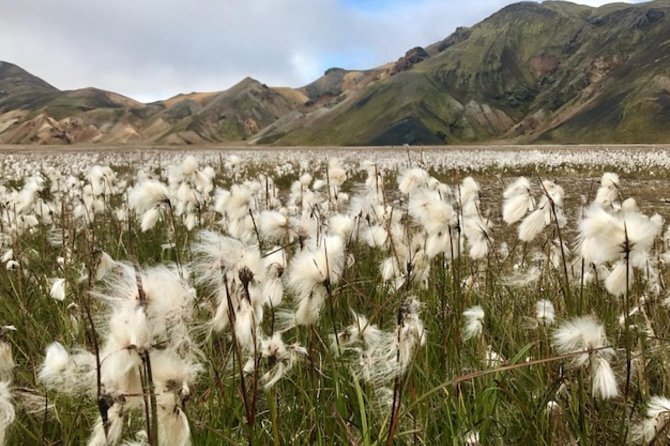 Landmannalaugar by Super Jeep - Pickup timing and how to reduce day-trip stress from Hella