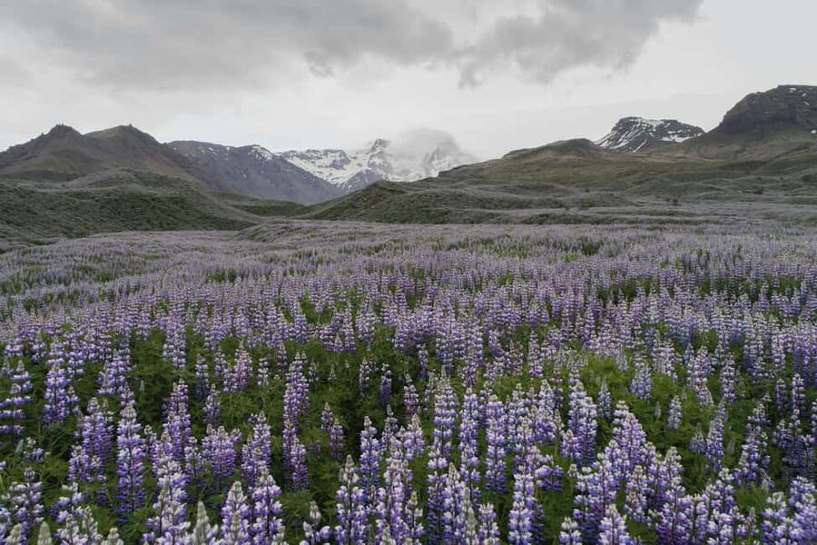 Landmannalaugar Highlands Small Group Super Jeep Tour - Super Jeep to the Highlands: what you’re really buying