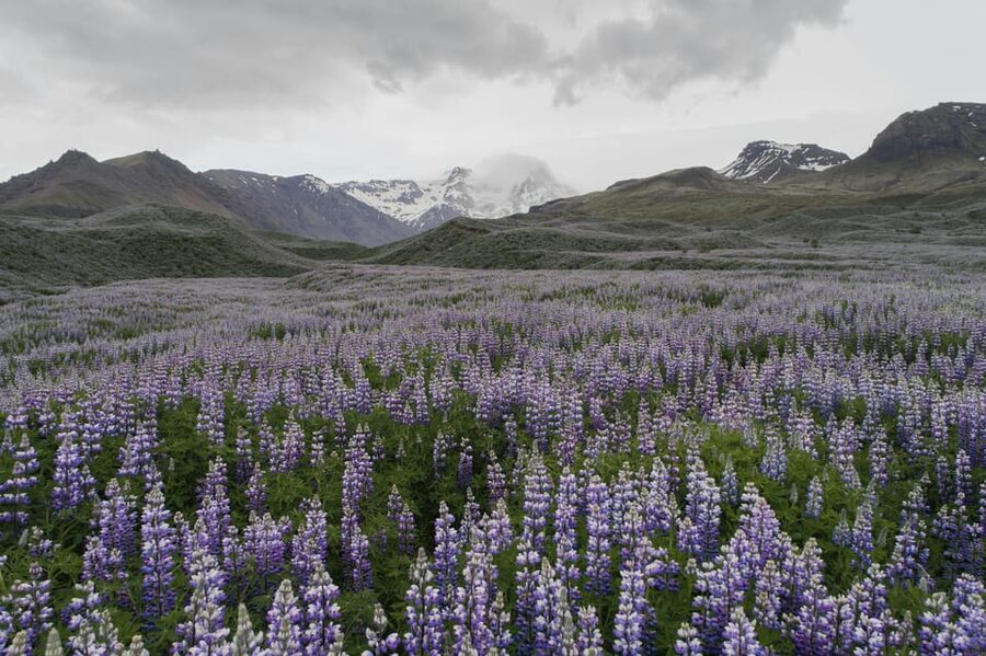 Landmannalaugar Highlands Small Group Super Jeep Tour - Weather and clothing: Iceland can change its mind