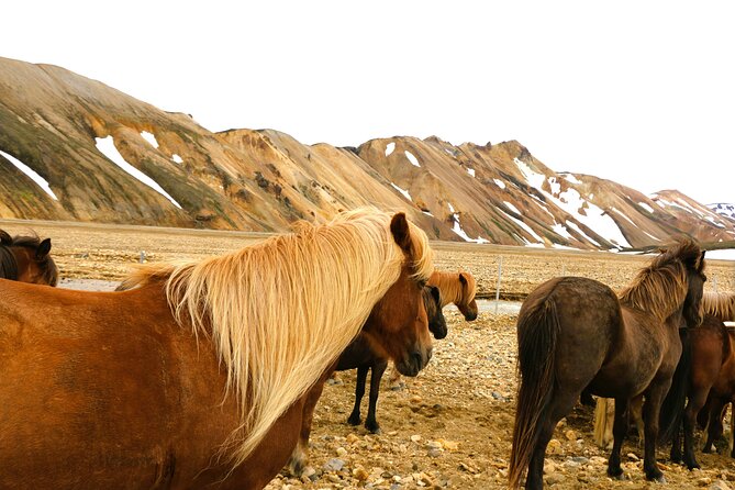 Landmannalaugar Hiking, Haifoss Waterfall and Hot Springs Tour - The 7:00 am start: how the day pacing works