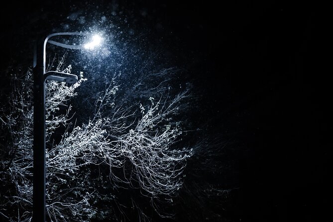 Magical Christmas Private Tour in Beautiful Reykjavik - Meeting at Hallgrimskirkja and the tour’s simple flow