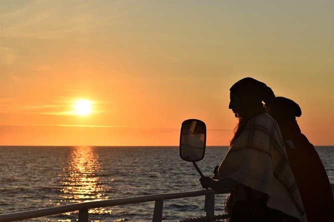 Magical Whales in the Midnight Sun | from Reykjavik - Key highlights you will actually care about