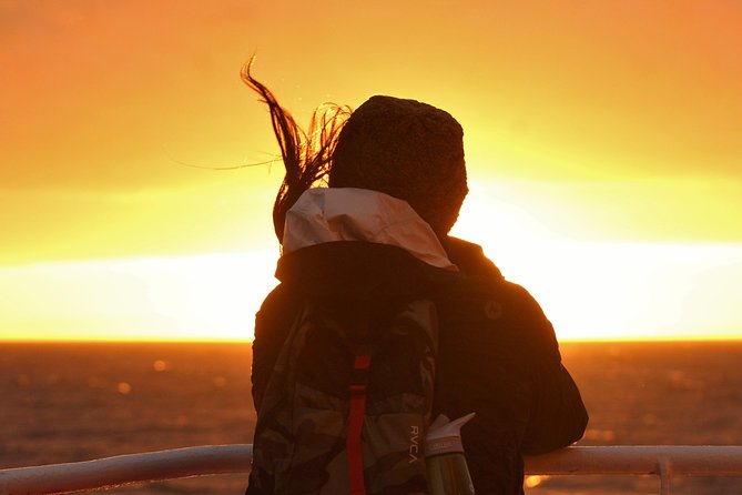 Magical Whales in the Midnight Sun | from Reykjavik - Reykjavik’s midnight-sun timing, and why it matters for whales