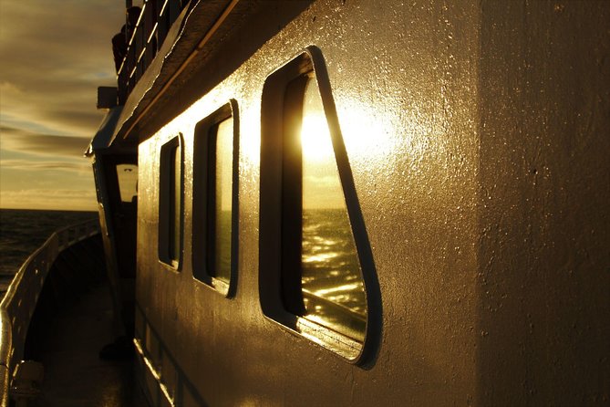 Magical Whales in the Midnight Sun | from Reykjavik - Boarding the boat: what the 2.5 hours on the water feels like