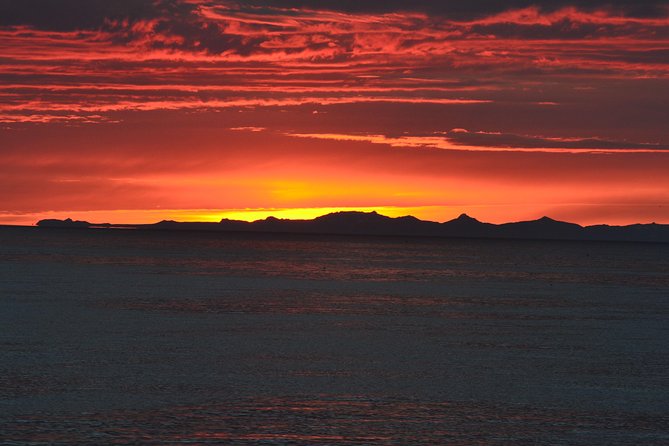 Magical Whales in the Midnight Sun | from Reykjavik - Deck viewing versus warm indoor space with Wi-Fi
