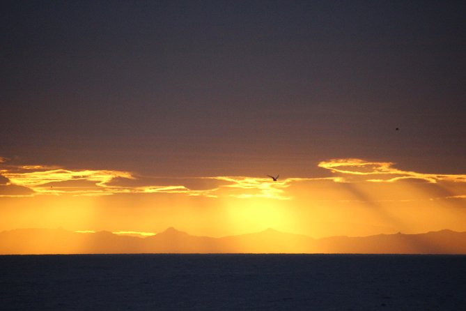Midnight Sun Whale Watching from Reykjavik - Thermal overalls, indoor warmth, and sea sickness support