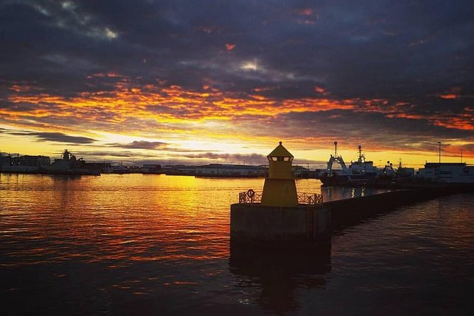 Midnight Sun Whale Watching from Reykjavik - The guides and crew factor: how names connect to good outcomes