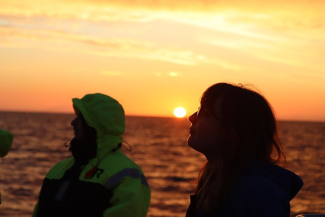 Midnight Sun Whale Watching from Reykjavik - From Old Harbour to Faxaflói Bay: how the route helps you spot whales