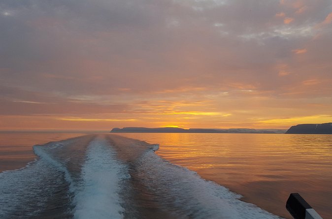 Midnight Whale Watching With Hydrophone - Group size and why it changes the vibe