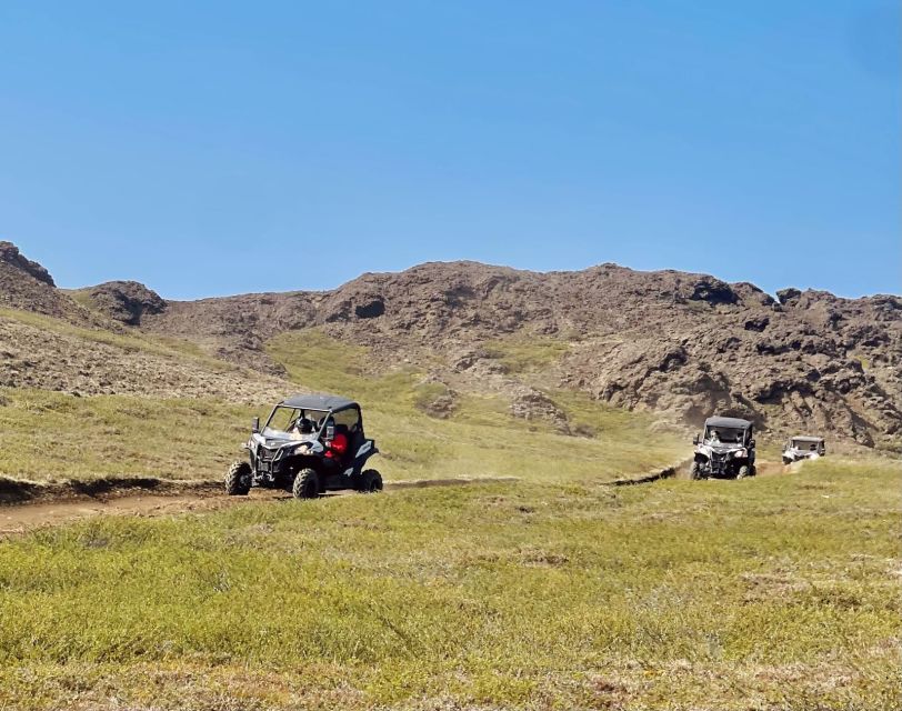 Mývatn: Lake Mývatn ATV Guided Safari Experience - Price and value: is $223 for two hours worth it?