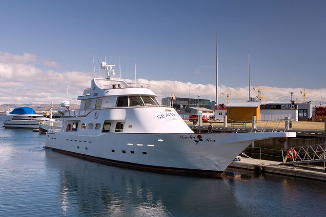 New Year's Eve Reykjavík Cruise - Midnight fireworks, Champagne toast, and the aurora question