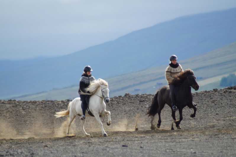 North Iceland: Horseback Riding Tour - Key things to know before you ride
