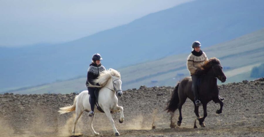North Iceland: Horseback Riding Tour - Birch Forest, Black Sand, Volcanic Rocks: Why the Terrain Feels So Iceland