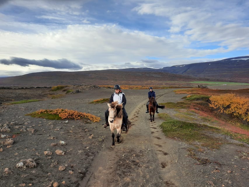 North Iceland: Horseback Riding Tour - What the 2 Hours Feels Like (And Why Small Groups Matter)