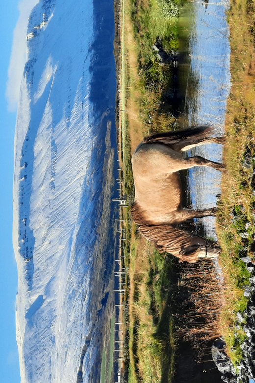 North Iceland: Horseback Riding Tour - What to Bring for North Iceland Weather (So the Ride Stays Fun)