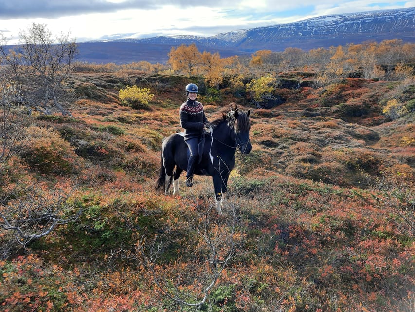 North Iceland: Horseback Riding Tour - Should You Book This Tour?
