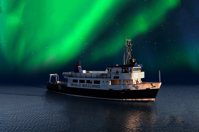 Northern Lights Boat Cruise from Reykjavik - Chasing the aurora from the observation deck, with a warm backup plan