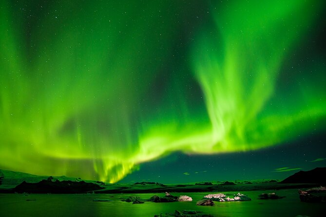 Northern Lights Boat Cruise from Reykjavik - Whales and Bay wildlife, the bonus that makes the night worthwhile