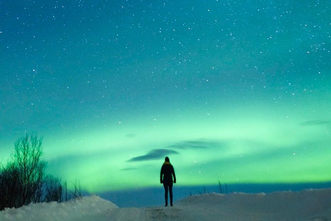 Northern Lights Bus Tour from Reykjavik with Hot Chocolate - Thingvellir National Park: Your First Chance to Escape City Glow