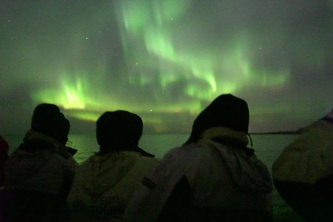 Northern Lights by Boat with a Backup Plan from Reykjavik - When the Sky Cooperates: Sail Out and Find the Lights