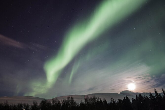 Northern Lights Classic MiniBus Tour from Akureyri - Key things I’d zero in on before you book