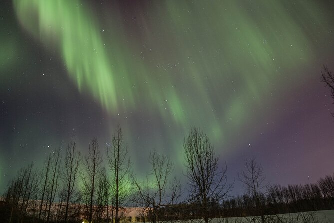 Northern Lights Classic MiniBus Tour from Akureyri - Price and value: is $150.85 actually fair here?