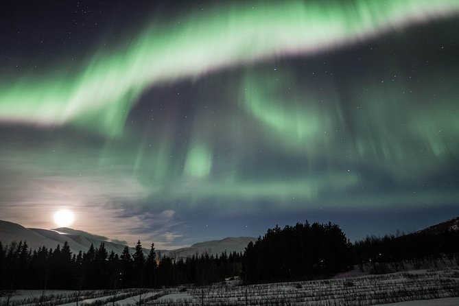 Northern Lights Classic MiniBus Tour from Akureyri - Hotel pickup and meeting points, so you don’t waste the first hour