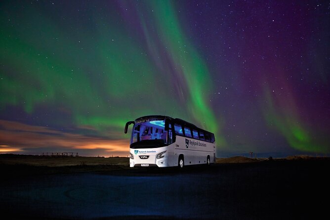 Northern Lights Guided Bus Tour from Reykjavik - What the Outdoor Time Feels Like in Real Winter Cold