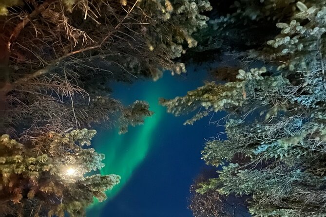 Northern Lights - Private - Price and Value: What $713.81 Gets You for Up to 3