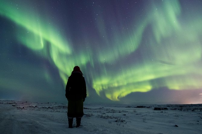 Northern Lights Small Group Tour from Reykjavik with Free Photos - How the photo coaching and free downloads actually work