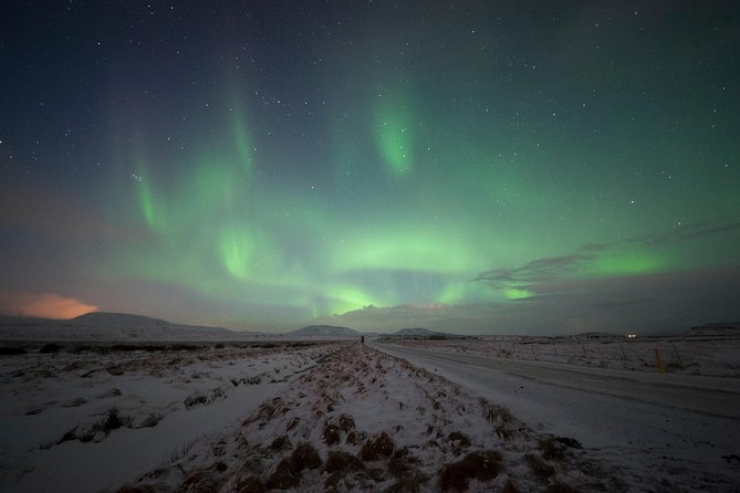 Northern Lights Small-Group Tour From Reykjavik with Hot Drink - Who Should Book This Northern Lights Hunt
