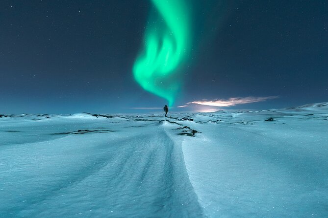 Northern Lights Small-Group Tour with Free Photos & Hot Chocolate - What makes a guide better than driving yourself