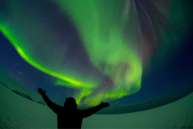 Northern Lights Tour: Cozy Night Adventure with Hot Chocolate - Hot Chocolate and Waiting: How Comfort Helps You Stay Patient