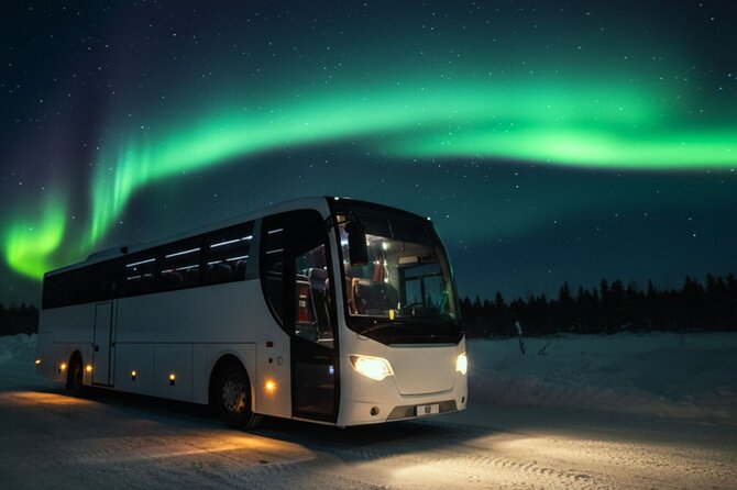 Northern Lights Tour: Cozy Night Adventure with Hot Chocolate - Price and Value at $81.80: What You’re Really Paying For