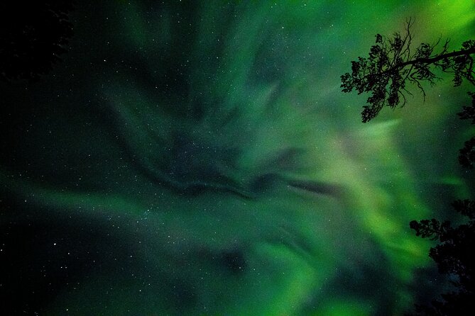 Northern Lights with hot chocolate, donuts and icelandic beer - How this Reykjavik Northern Lights outing stays fun for 4 full hours