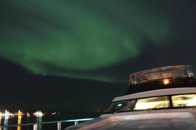 Northern Lights Yacht Cruise - Faxaflói Bay: the aurora zone that also teases marine life