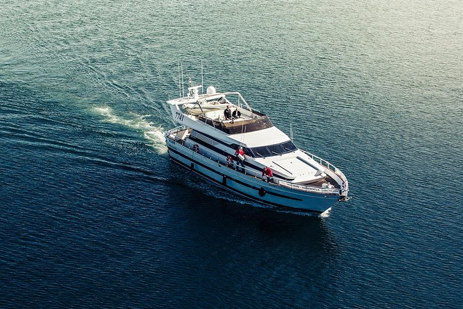 Northern Lights Yacht Cruise - How the crew hunts the aurora, and why their photo help matters