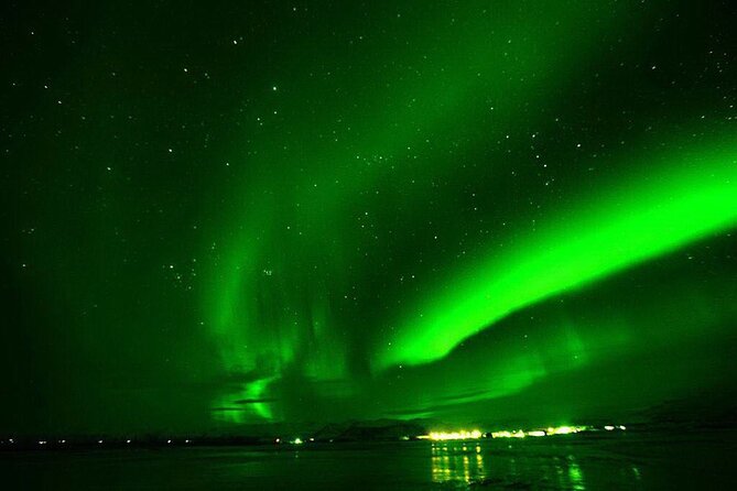 Northern Lights Yacht Cruise in Reykjavik - Wildlife spotting on the way to the sky