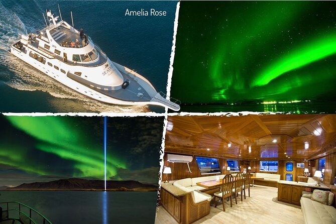 Northern Lights Yacht Cruise in Reykjavik - Price and value: is $94 worth it for an aurora gamble?