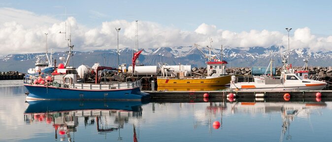 Original Big Whale Safari & Puffins Speedboat Tour from Húsavík - Key points before you go