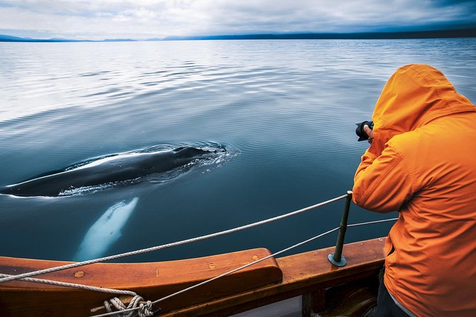 Original Carbon Neutral Whale Watching Tour from Húsavík - Key things to know before you go