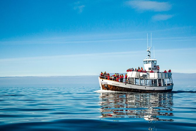 Original Carbon Neutral Whale Watching Tour from Húsavík - Price and value: is $135.16 for 3 hours worth it?